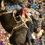 World's Toughest Rodeo | Des Moines 2014