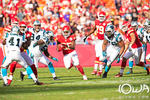 Chiefs vs Panthers 2012.12.02